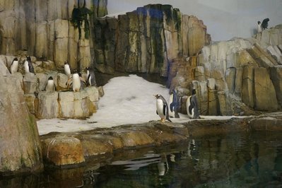 Montreal Biodome in Montreal, Canada – Museum Information gallery image