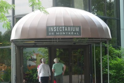 Montreal Insectarium in Montreal, Canada – Museum Information gallery image