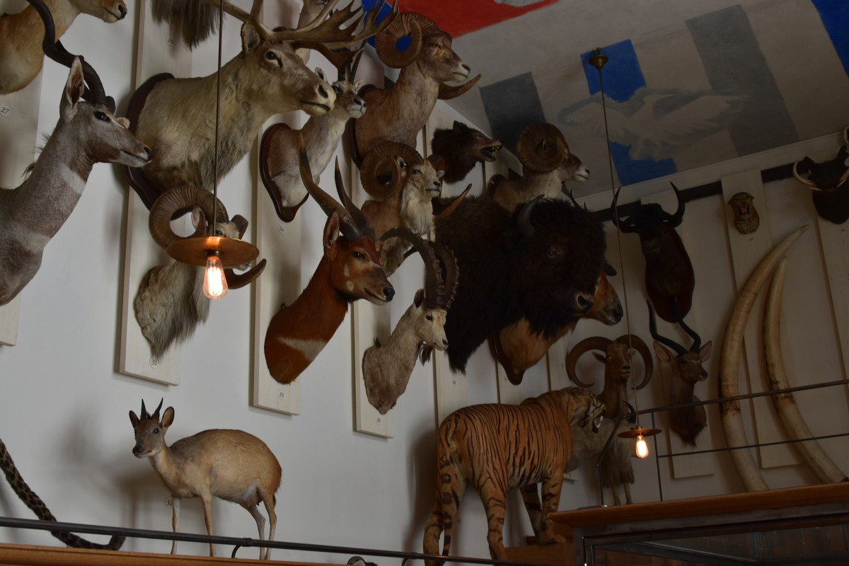 Musée de la Nature in Saguenay, Canada – Museum Information