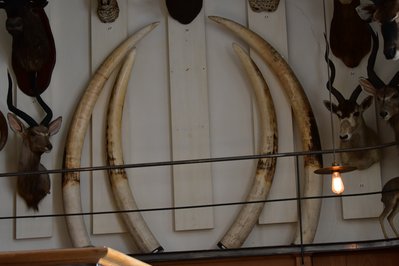 Musée de la Nature in Saguenay, Canada – Museum Information gallery image