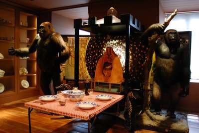Musée de la Nature in Saguenay, Canada – Museum Information gallery image