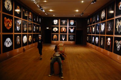 Musée de la Nature in Saguenay, Canada – Museum Information gallery image