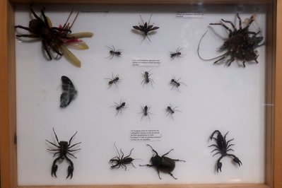 Musee du Fjord in Saguenay, Canada – Museum Information gallery image