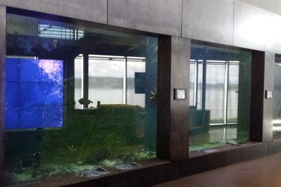 Musee du Fjord in Saguenay, Canada – Museum Information gallery image