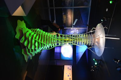The Biosphere, Environment Museum in Montreal, Canada – Museum Information gallery image