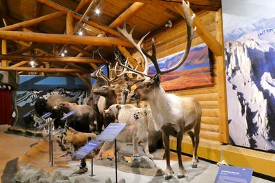 MacBride Museum of Yukon History in Whitehorse, Canada – Museum Information gallery image