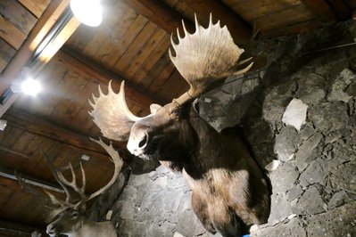 MacBride Museum of Yukon History in Whitehorse, Canada – Museum Information gallery image