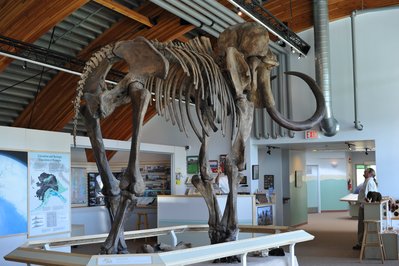 Yukon Beringia Interpretive Centre in Whitehorse, Canada – Museum Information gallery image