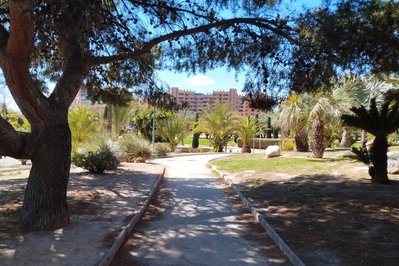 Plaza Juan Pablo II in Temuco, Chile – Museum Information gallery image