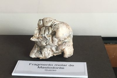 Archaeological Museum of La Serena in La Serena, Chile – Museum Information gallery image