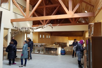 Museo Provincial de Tierra del Fuego, Fernando Cordero Rusque in Porvenir, Chile – Museum Information gallery image