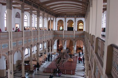 Museum of National History of Chile in Santiago, Chile – Museum Information gallery image