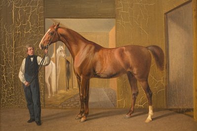 Lord Cochrane’s Museum in Valparaiso, Chile – Museum Information gallery image