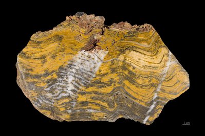 Museum of Rocks, Minerals & Fossils in Medellin, Colombia – Museum Information gallery image