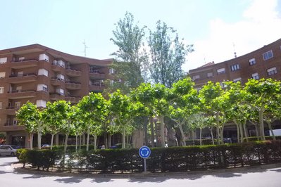 Plaza de la Libertad in Choco, Colombia – Museum Information gallery image