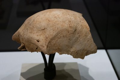 Museo Exposición del Hombre in Bogota, Colombia – Museum Information gallery image
