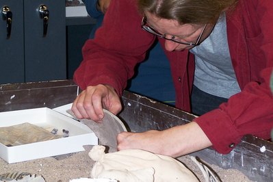 Archeology Laboratory in Magdalena, Colombia – Museum Information gallery image