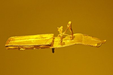 Museo del Oro in Pasto, Colombia – Museum Information gallery image