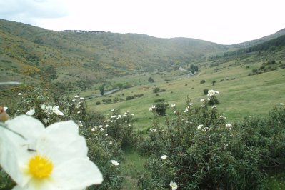Finca san Lorenzo in Norte de Santander, Colombia – Museum Information gallery image