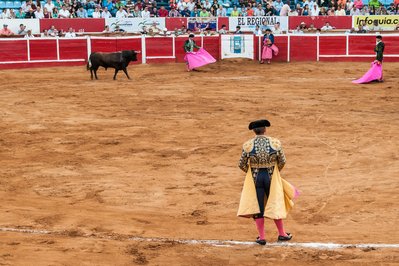 Plaza De Toros in Norte de Santander, Colombia – Museum Information gallery image