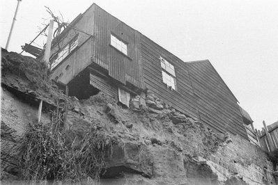 Bill’s Backyard in San Jose, Costa Rica – Museum Information gallery image