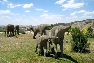 Museo Paleontológico de Cuenca in Cuenca, Ecuador – Museum Information gallery image