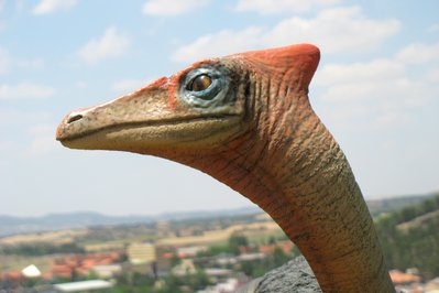 Museo Paleontológico de Cuenca in Cuenca, Ecuador – Museum Information gallery image