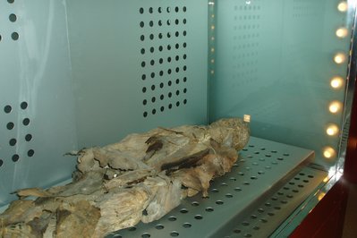 Museo de la Momia in Alausi, Ecuador – Museum Information gallery image