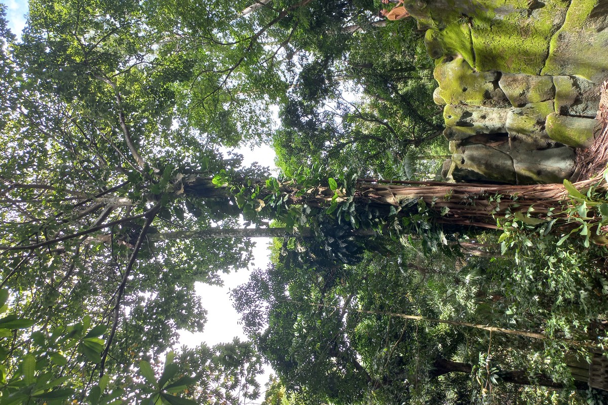 Bosque Botanico. in El Oro, Ecuador – Museum Information