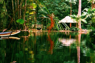 Bosque Botanico. in El Oro, Ecuador – Museum Information gallery image