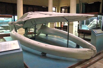 El Museo de Ballenas in Salinas, Ecuador – Museum Information gallery image