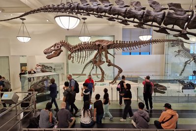 Museum of the Dinosaurs in Quito, Ecuador – Museum Information gallery image