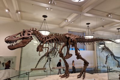 Museum of the Dinosaurs in Quito, Ecuador – Museum Information gallery image