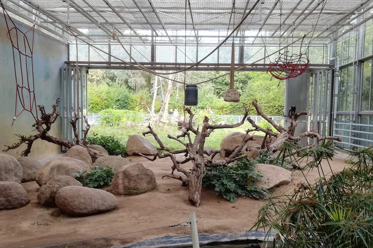Vivarium in Quito, Ecuador – Museum Information