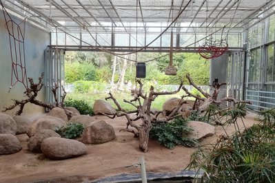 Vivarium in Quito, Ecuador – Museum Information gallery image
