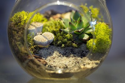 Vivarium in Quito, Ecuador – Museum Information gallery image