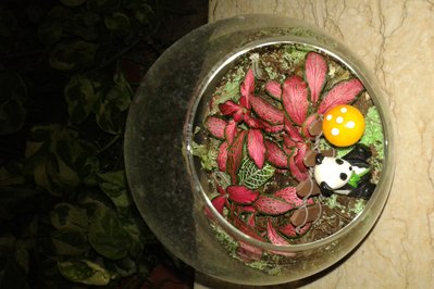 Vivarium in Quito, Ecuador – Museum Information gallery image