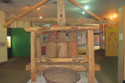 Museum of the Dominican Man in Santo Domingo, Ecuador – Museum Information gallery image