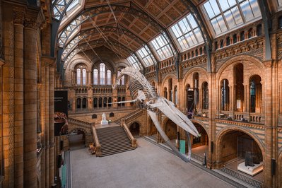 Natural History Museum in Alexandria, Egypt – Museum Information gallery image