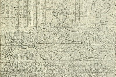 The Royal Mummies Hall in Cairo, Egypt – Museum Information gallery image