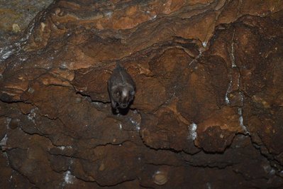 Cueva del Murcielago in Morazan, El Salvador – Museum Information gallery image