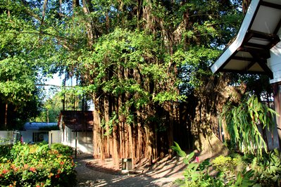 La Casa del Escritor in San Salvador, El Salvador – Museum Information gallery image