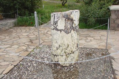 Natural History Museum of the Lesvos Petrified Forest in Lesvos, Greece – Museum Information gallery image