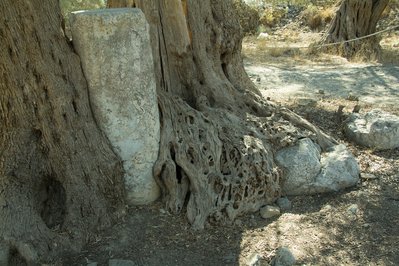 Ancient Gortys in Peloponnese, Greece – Museum Information gallery image