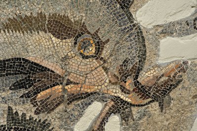 Archaeological Museum of Sparta in Sparta, Greece – Museum Information gallery image