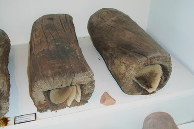 Bee Museum of Rhodes in Rhodes, Greece – Museum Information gallery image