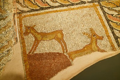 Diachronic Museum of Larissa in Larissa, Greece – Museum Information gallery image