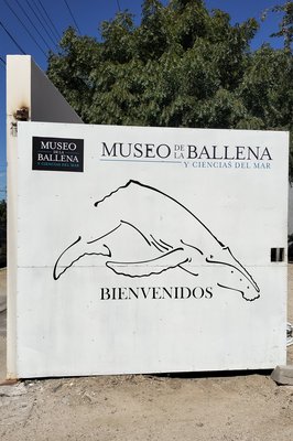 Museo de la Ballena y Ciencias del Mar in La Paz, Mexico – Museum Information gallery image
