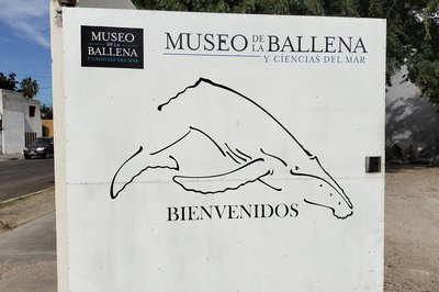Museo de la Ballena y Ciencias del Mar in La Paz, Mexico – Museum Information gallery image