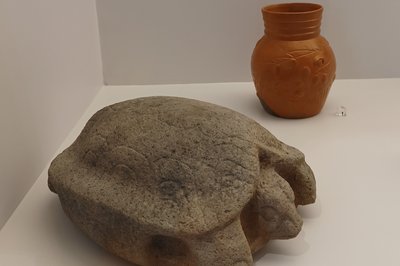 Museo del Cocodrilo in Tuxtla Gutierrez, Mexico – Museum Information gallery image